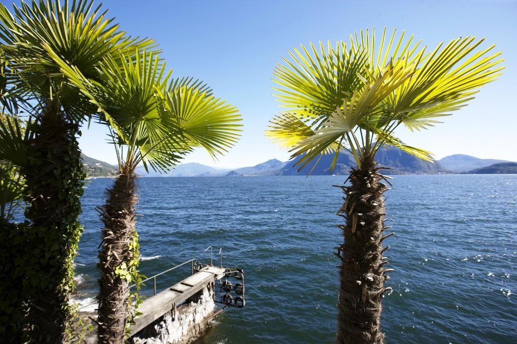 Villa Camelia Verbania Eksteriør bilde